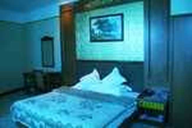 昊原大酒店,图二