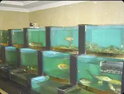 沈阳南湖大酒店,图二