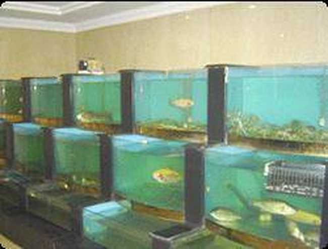 沈阳南湖大酒店,图二