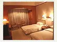 大连盛兴大酒店(原伽利亚大酒店),图一