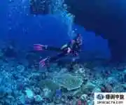 盛夏潜水保健小常识