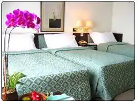 华王大饭店 Kingdom Hotel