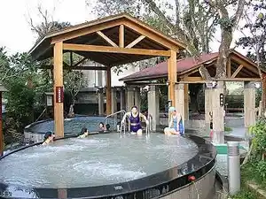 關子嶺統茂溫泉會館酒店