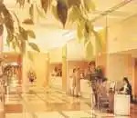 卫兰轩