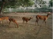 实创科技培训中心,图五