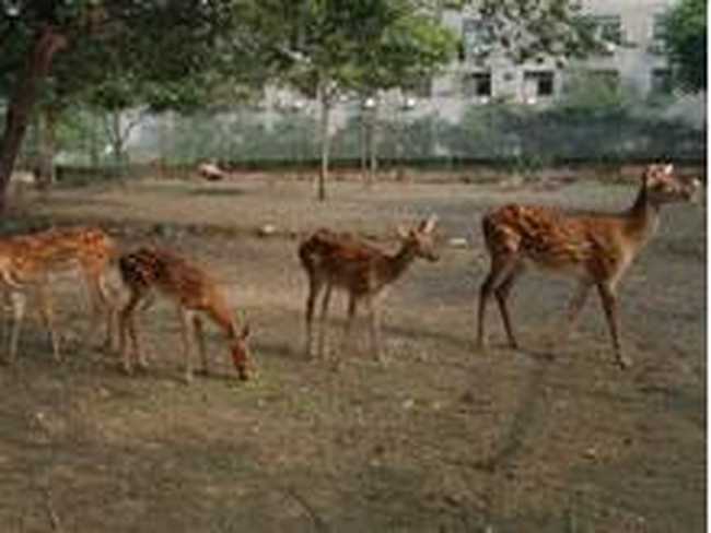 实创科技培训中心,图五