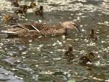 实创科技培训中心,图三