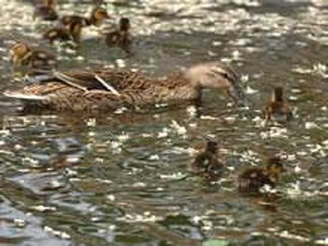 实创科技培训中心,图三