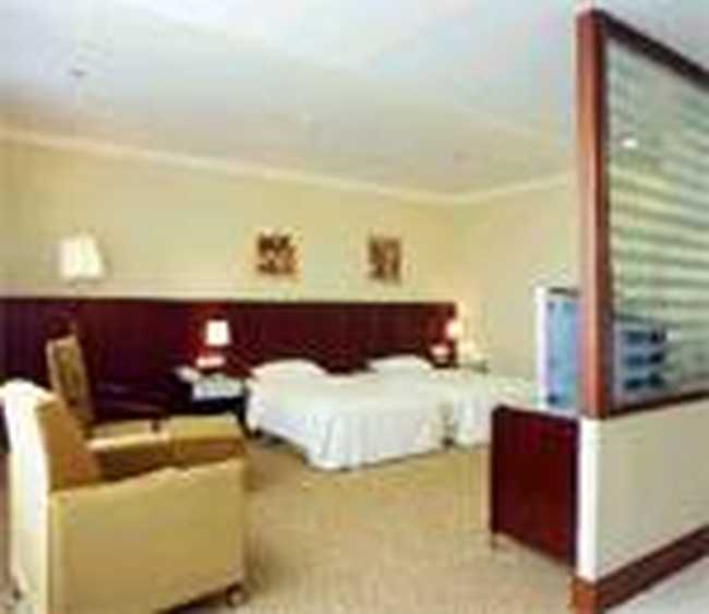 元辰鑫国际酒店（原国际会展酒店）,图三