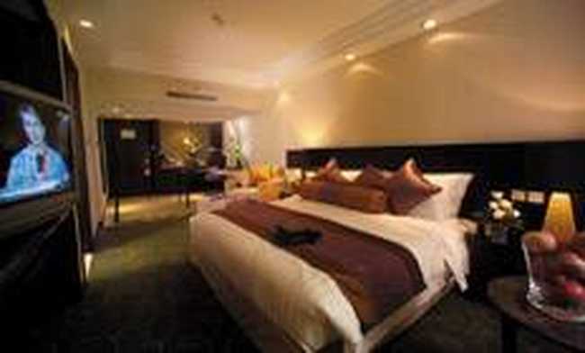 国际艺苑皇冠假日饭店,图三