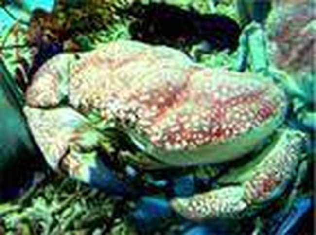 亚华大酒店,图五