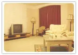 金山大酒店,图二