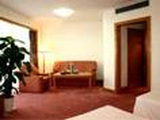 廊坊国际饭店,图五