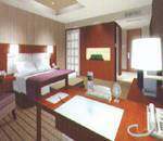 呼和浩特假日酒店(Holiday Inn Hohhot),图三