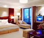 太星大酒店