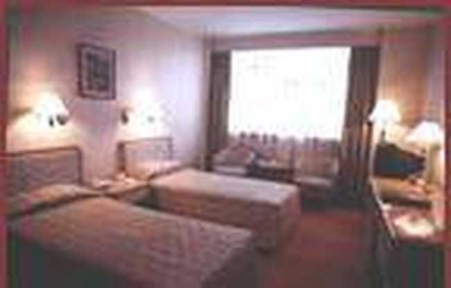 舞龙大酒店,图二