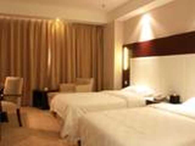 天津天伦瑞嘉晋滨大酒店,图三