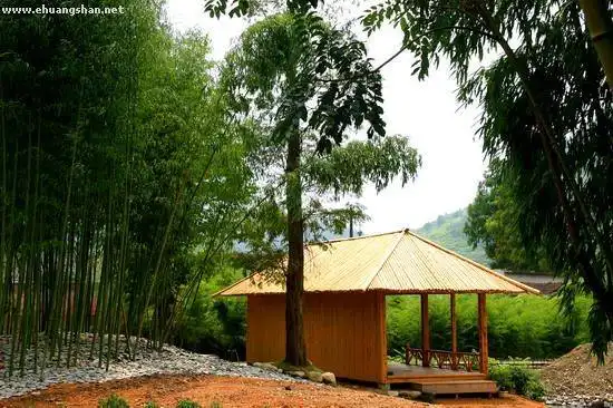 东黄山国际青年旅舍