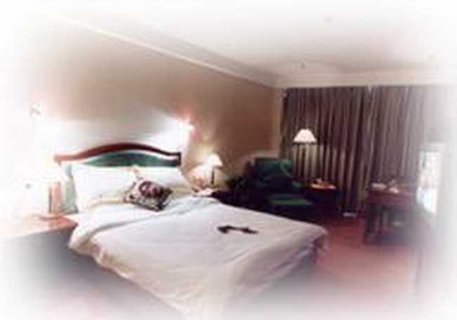 国元大酒店,图二