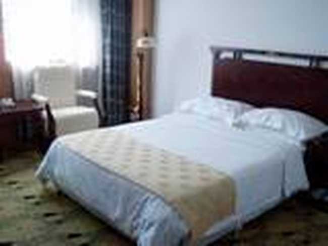 聚龙大酒店,图三