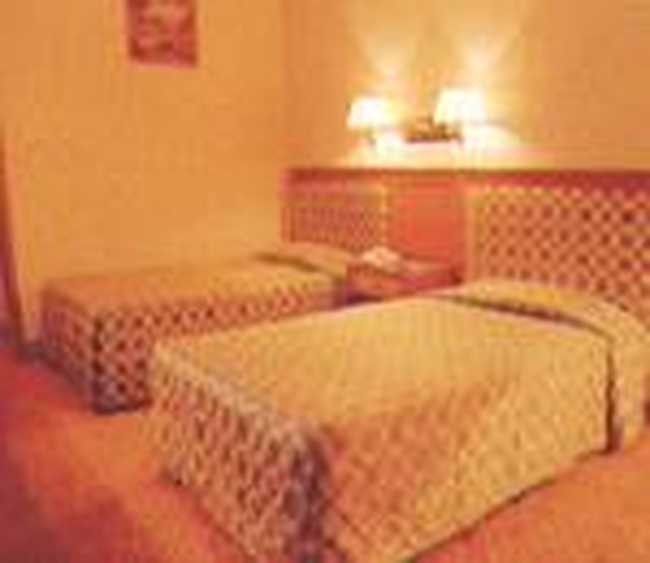 阜阳白金汉宫大酒店,图三