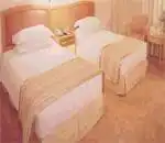 南京金陵之星大酒店,图三