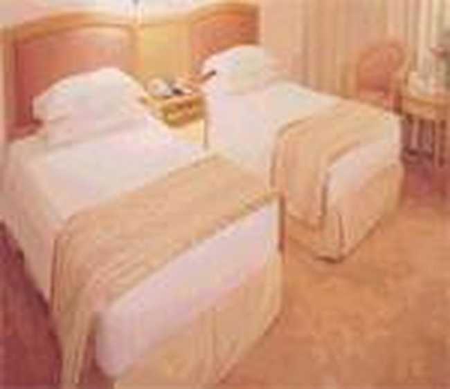 南京金陵之星大酒店,图三