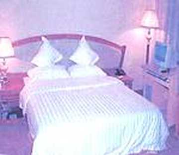 开门子大酒店（二部）（原新昌江大酒店）,图三