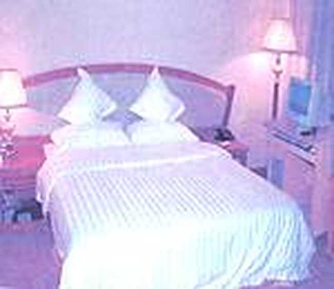 开门子大酒店（二部）（原新昌江大酒店）,图三