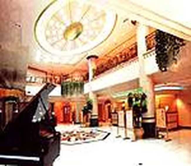 维也纳大酒店,图二