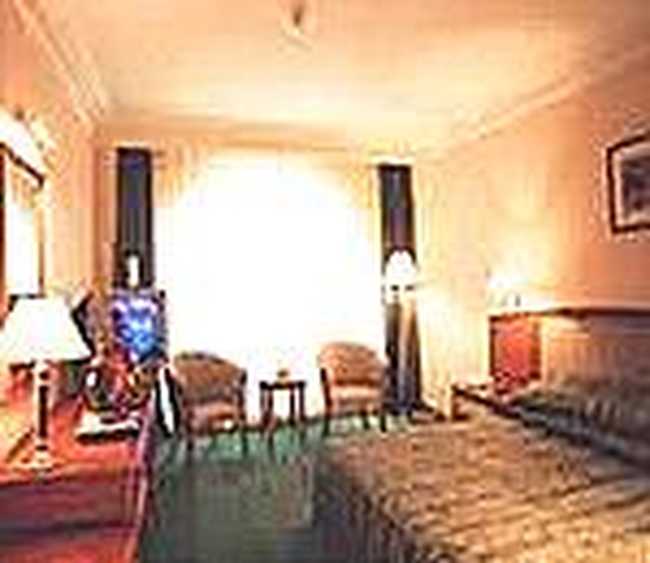 维也纳大酒店,图三