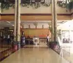 丹顶鹤大酒店,图二