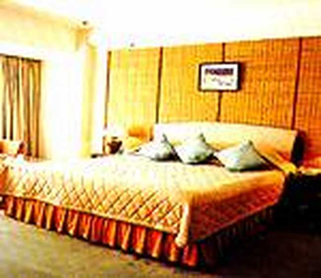 新悦大酒店(Xin Yue Hotel),图三