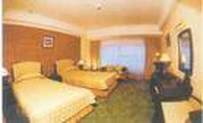 新悦大酒店(Xin Yue Hotel),图四