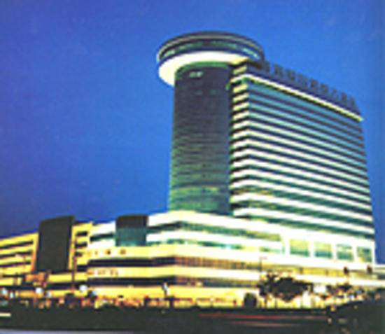 新悦大酒店(Xin Yue Hotel),图一