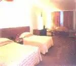 上海金轩大酒店,图三