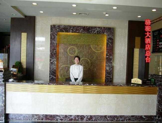 骆驼大酒店,图一