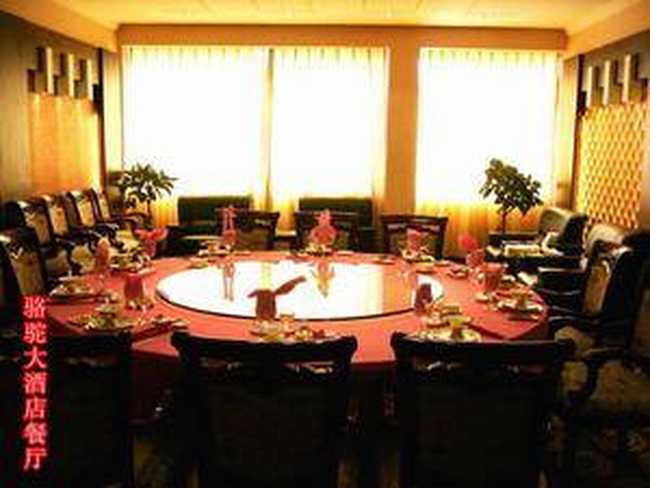 骆驼大酒店,图三