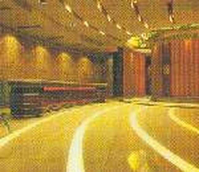 海盐新天地大酒店,图二