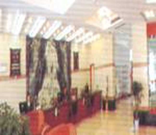 安吉山星旅游大厦,图二