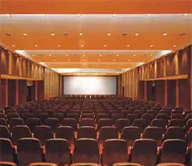 浙江南国大酒店(富阳),图五