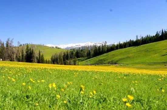 哈巴河那仁草原景点