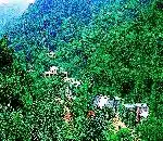 惠州云天海原始森林度假村