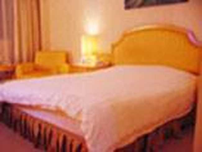 纳维斯大酒店,图二