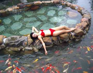 清新温矿泉渡假酒店