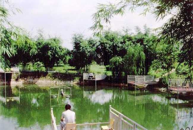 豪华大酒店,图二十三