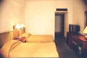 西部大酒店(三茂大酒店),图三