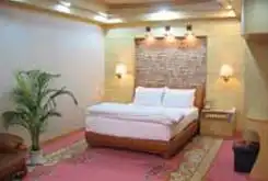 金苑大酒店,图十四