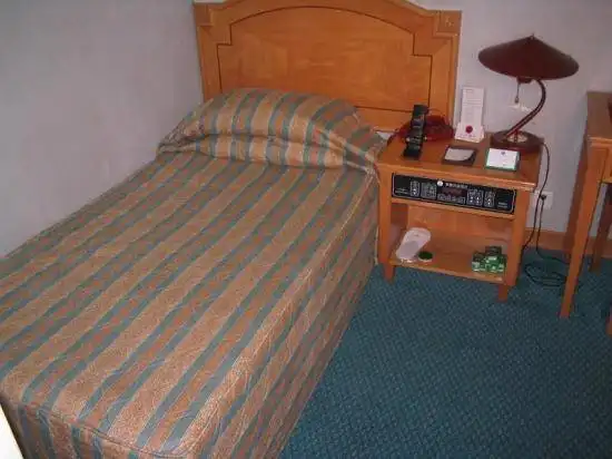 广州华侨友谊酒店,图六