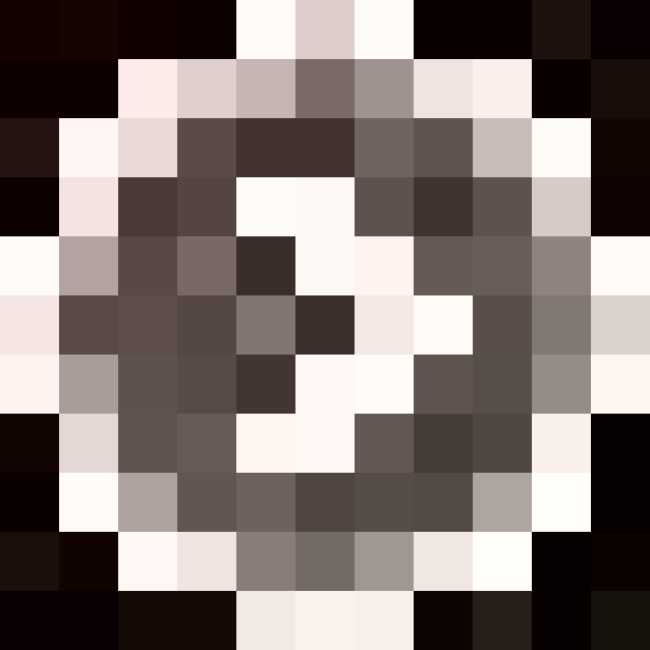 华夏新中源大酒店,图十九